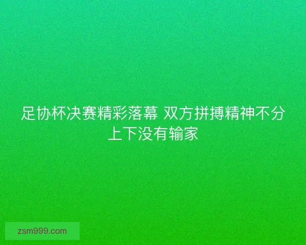 足协杯决赛精彩落幕 双方拼搏精神不分上下没有输家